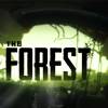 森林/迷失森林/The Forest